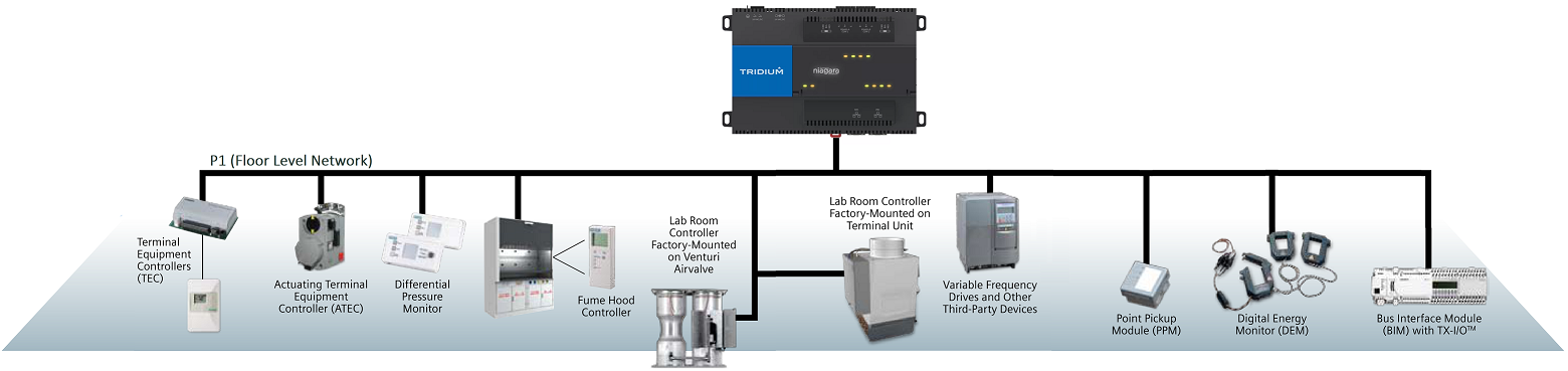 Siemens Apogee P1 Floor Level Network Architecture