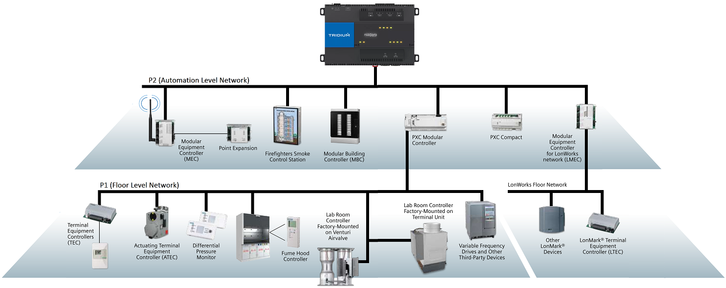Siemens Apogee P2 Automation Level Network Architecture